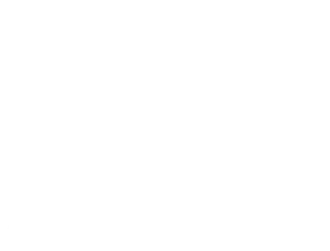 logo Apex immobilier
